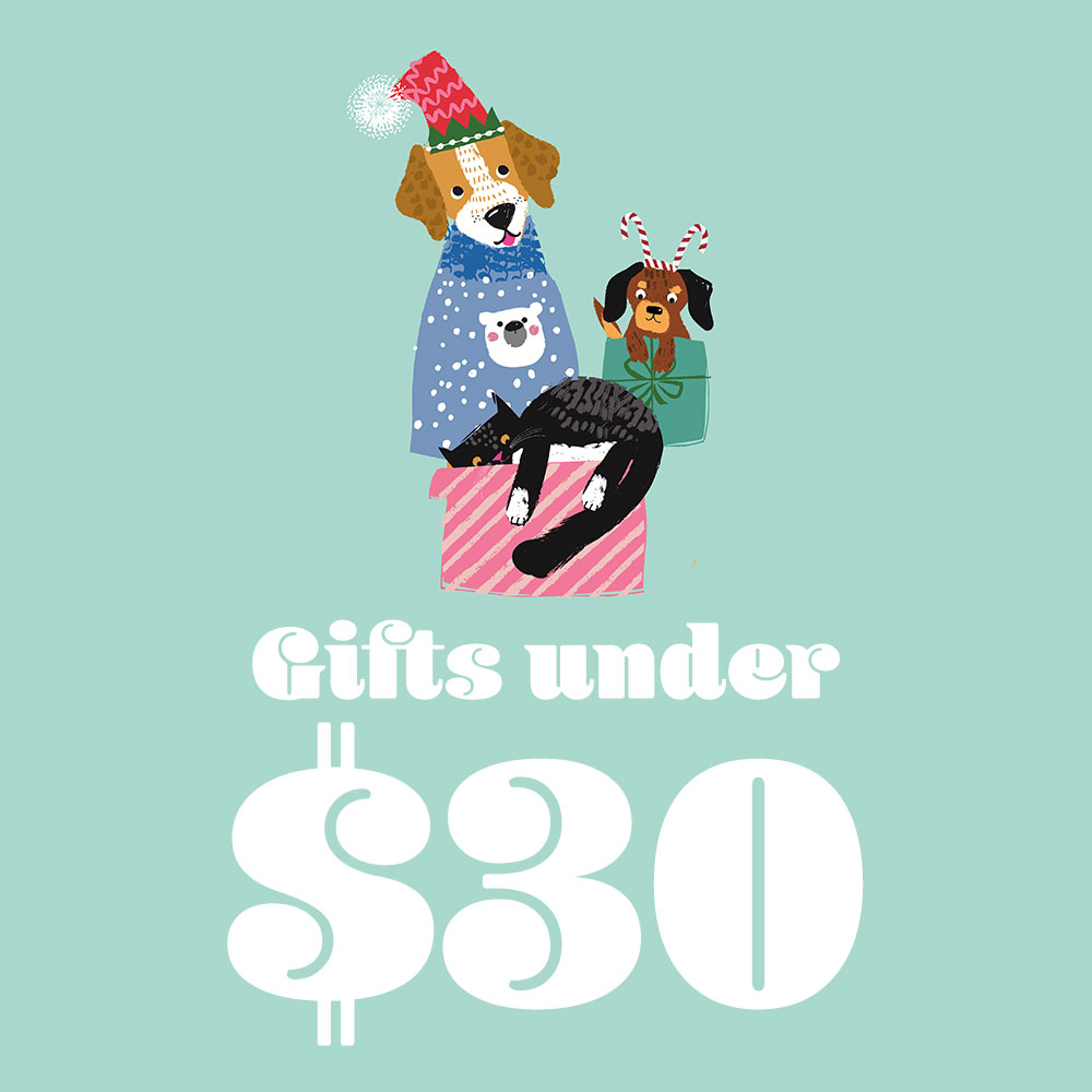 Gifts under $30